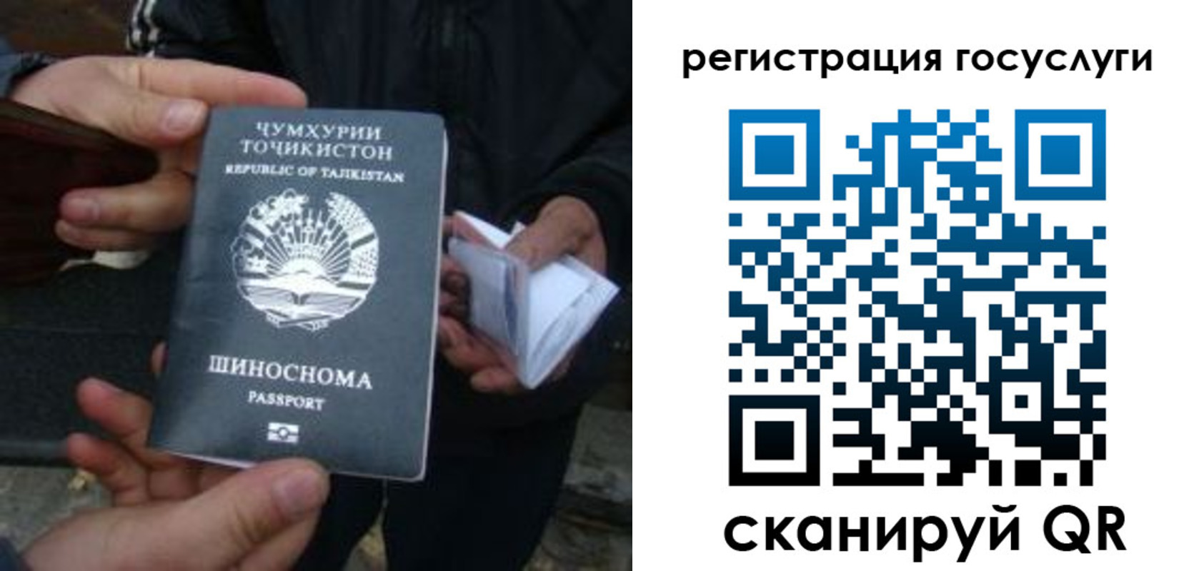 прописка регистрация в Дмитрове